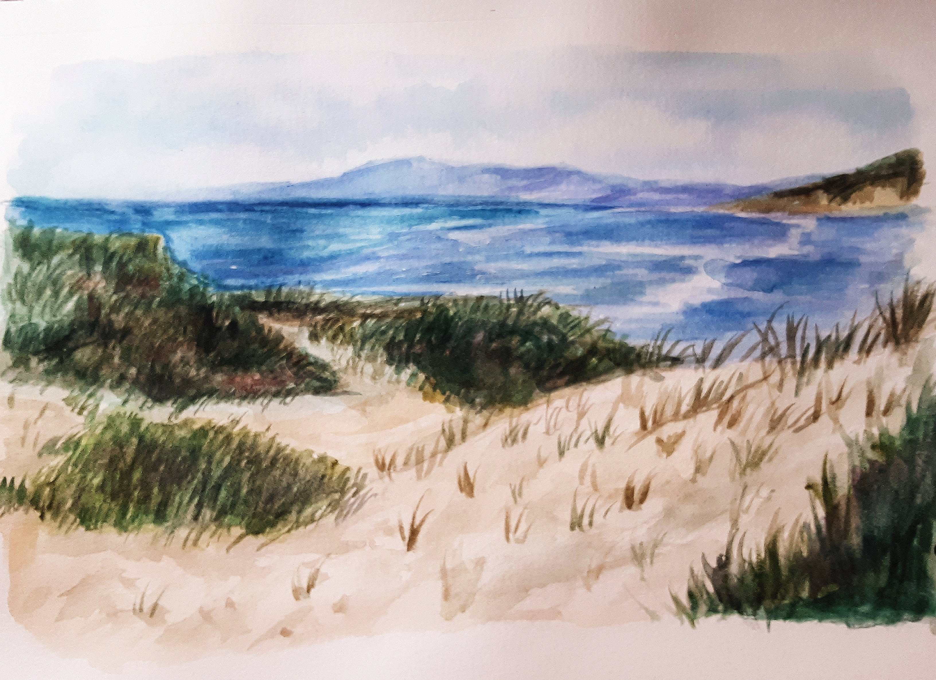 Sandy Grass Sandy Grass