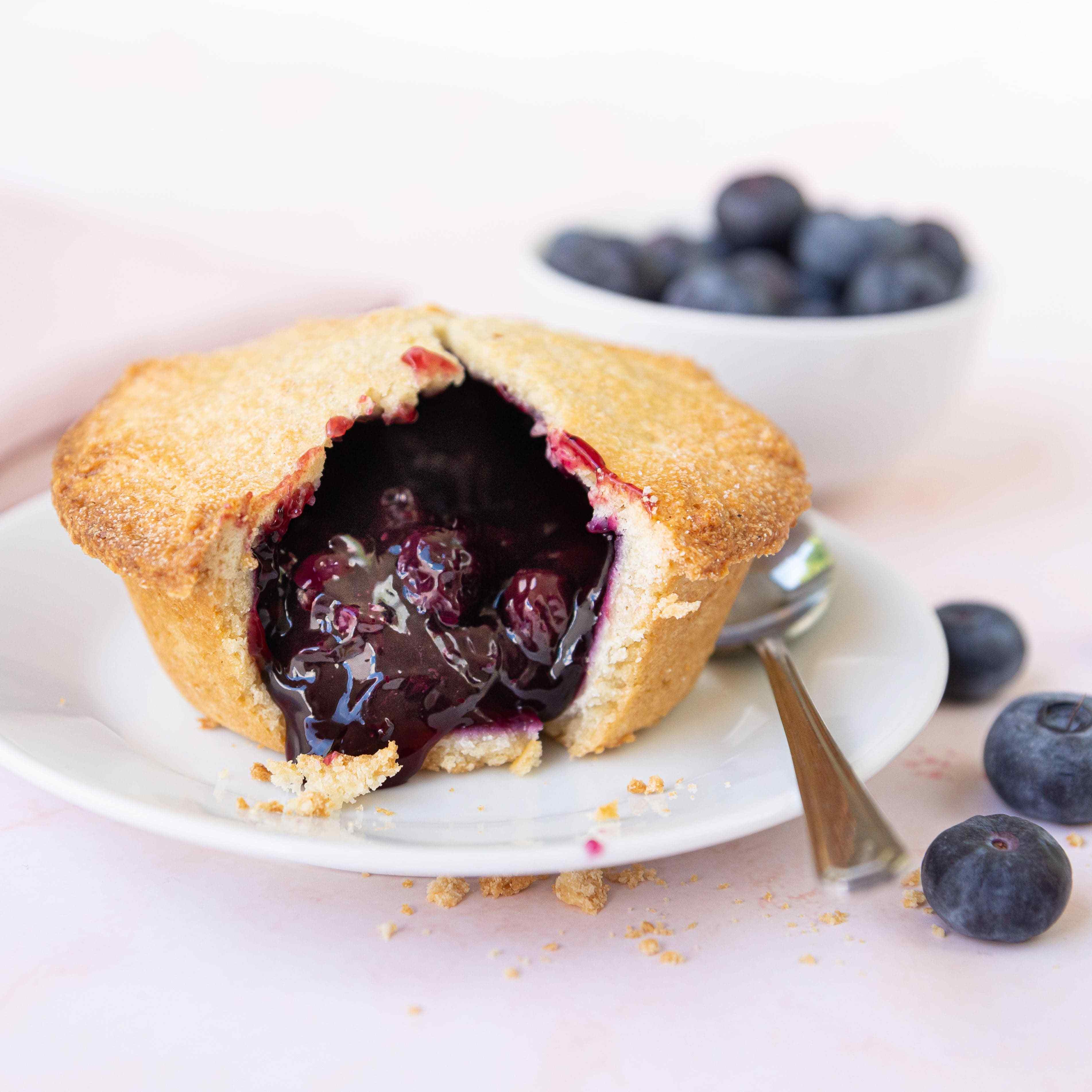 Blueberry Pie (Serves 2)