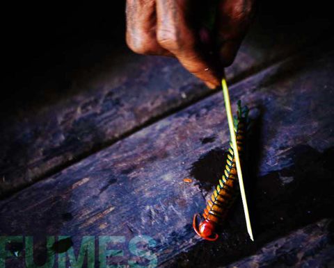 Fumes - Art, Photography, Ideas
