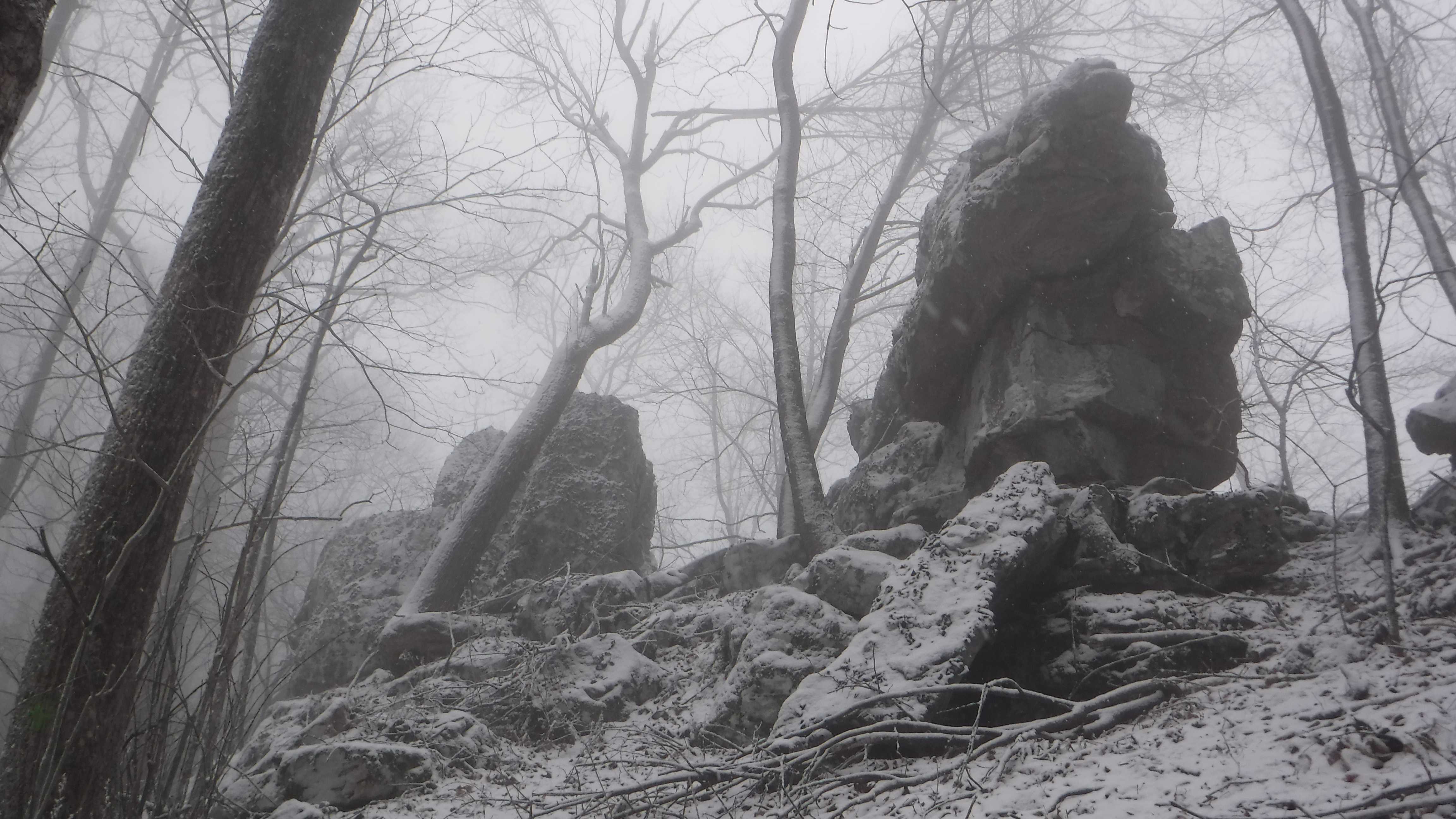 Frozen Head State Park Chimney Top Trail to Spicewood Trail Loop