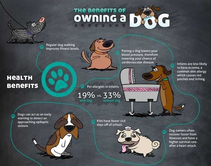 Benefits of Dog Ownership Infographic