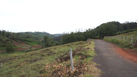 Approach road to the Plot