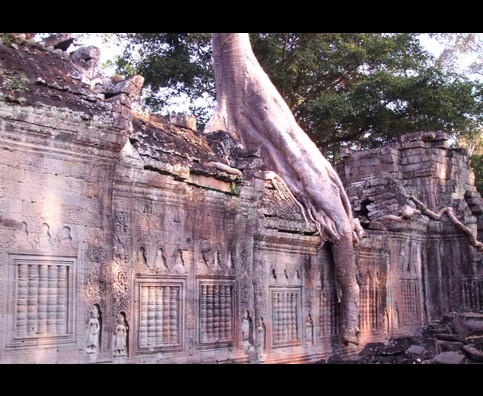 Cambodia Jungle Ruins 27