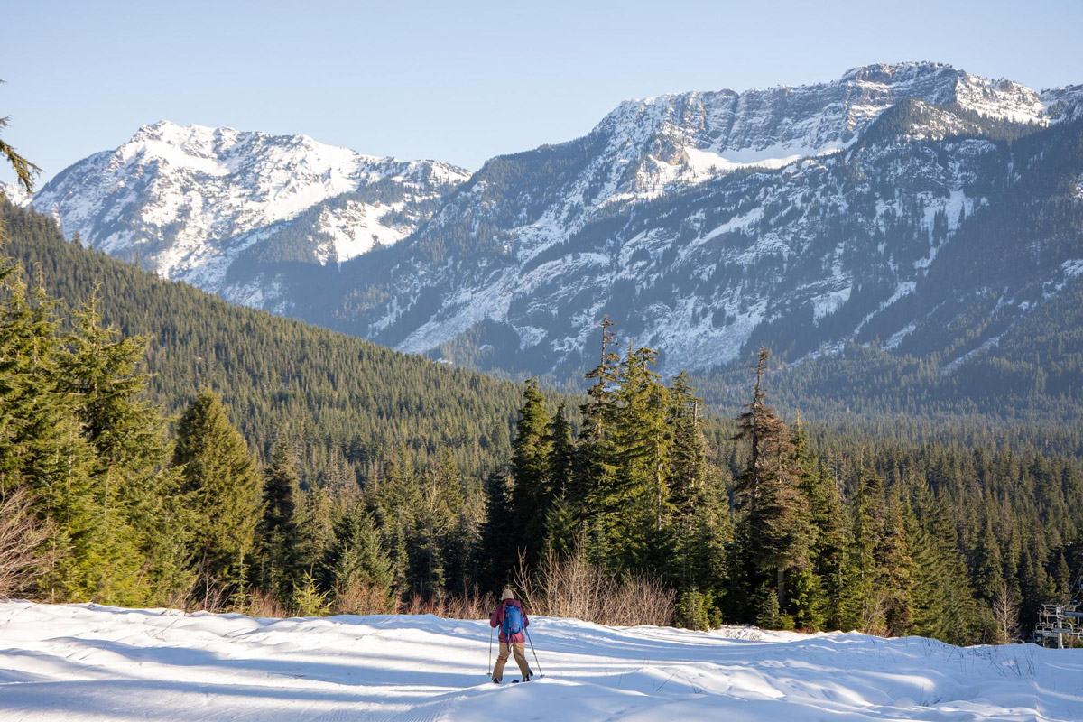 Long shot of a woman backcountry skiing across snow with a pine forest and snow-capped mountains in the distance.