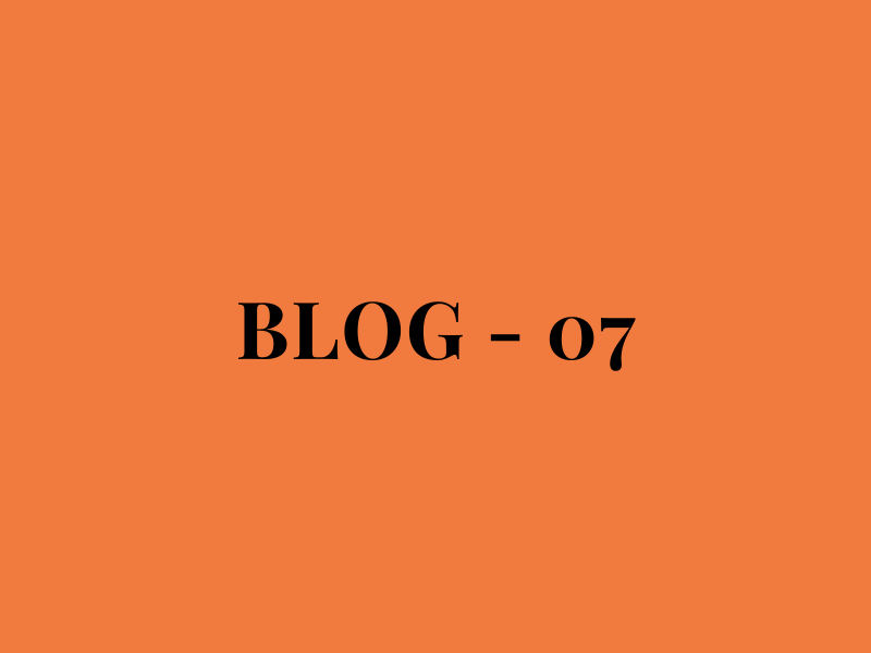 Blog Number 07