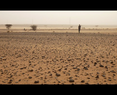 Sudan Desert Walk 19