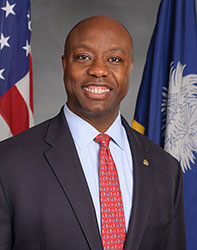 senator Tim Scott