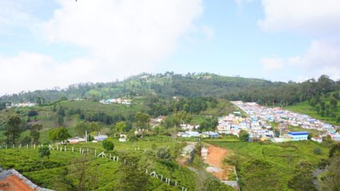 View from plot C-8