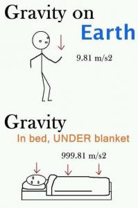 Gravitacija
