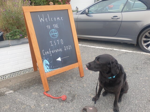 dog at welcome message outside