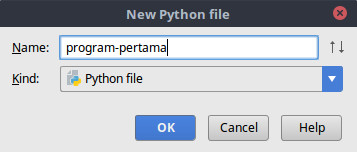 Memberikan nama file python di pycharm