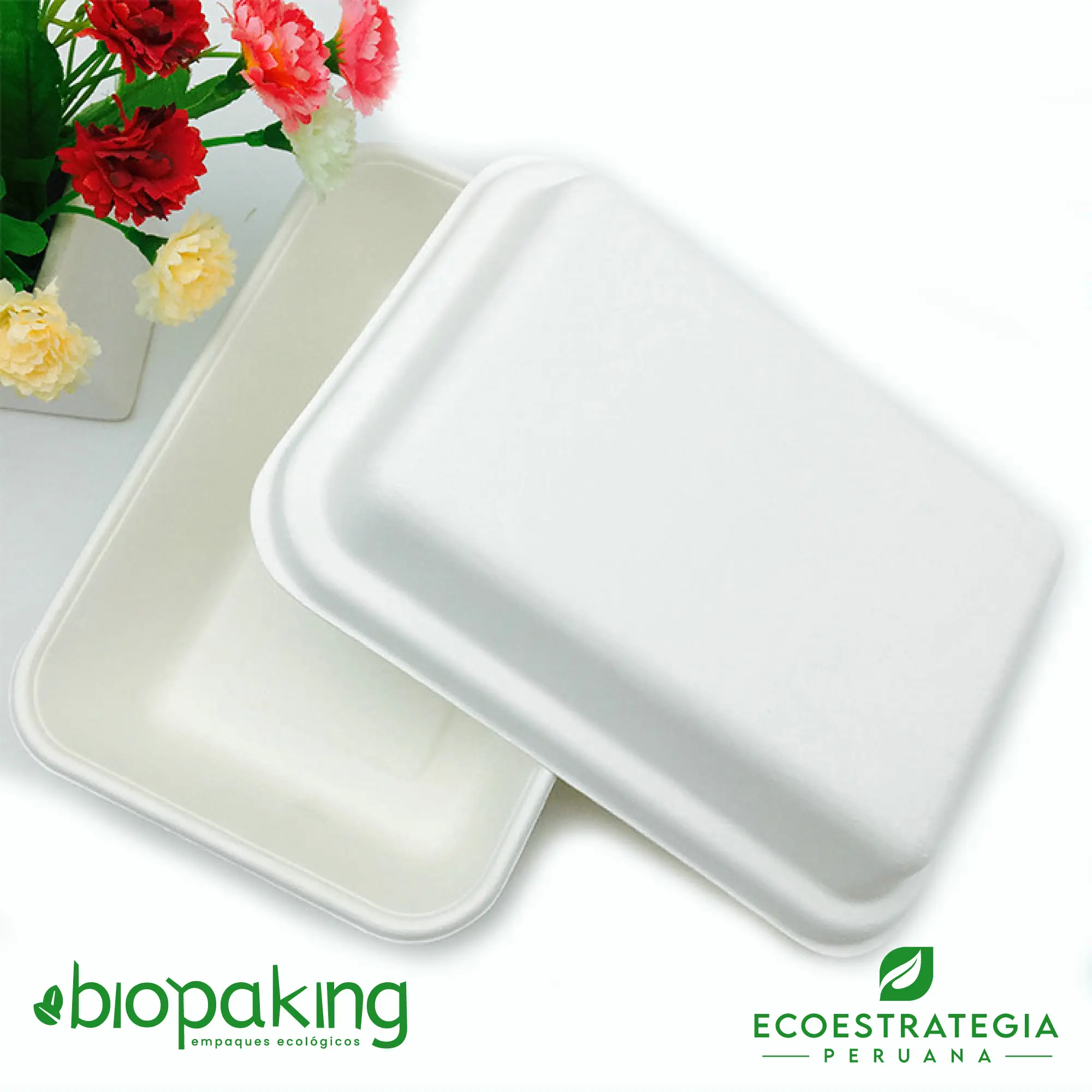 Esta bandeja biodegradable PB2 es a base de caña de azúcar. Envases descartables con gramaje ideal, cotiza tus bandejas, empaques, platos y  tapers ecológicos