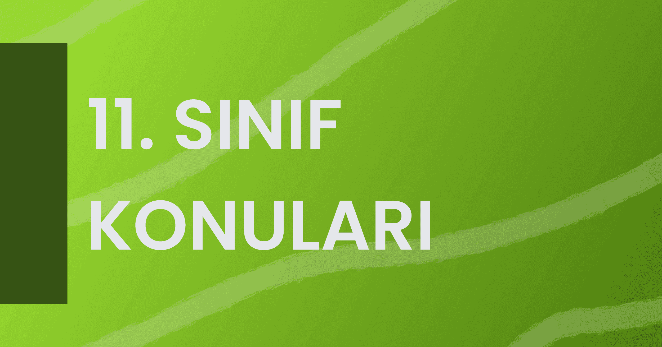 11. Sınıf Konuları (2021 – 2022 MEB Uyumlu)