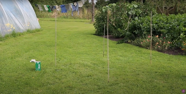 4 sticks making a square in a lawn