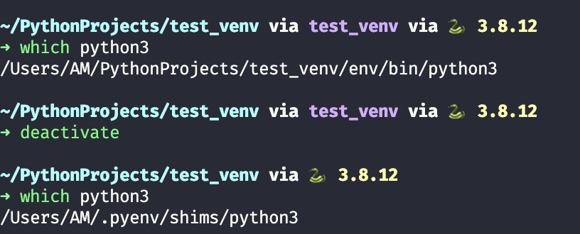 which python