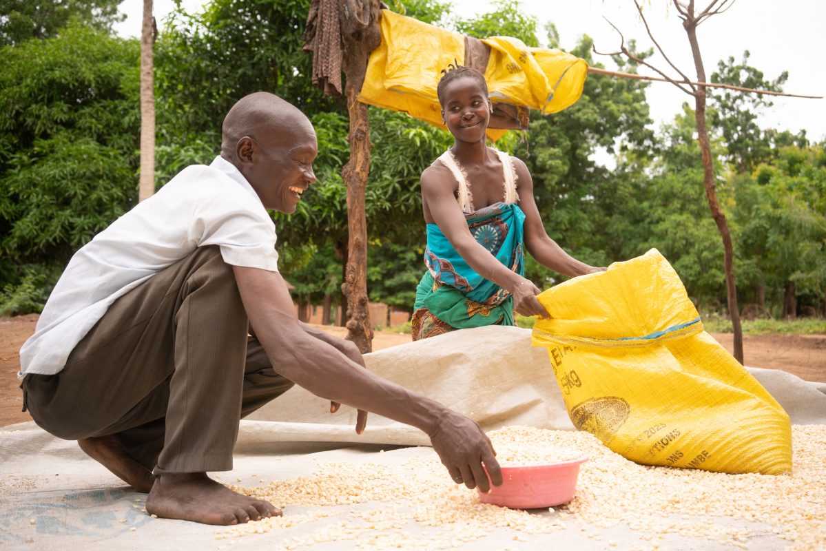 A man and woman drying maize