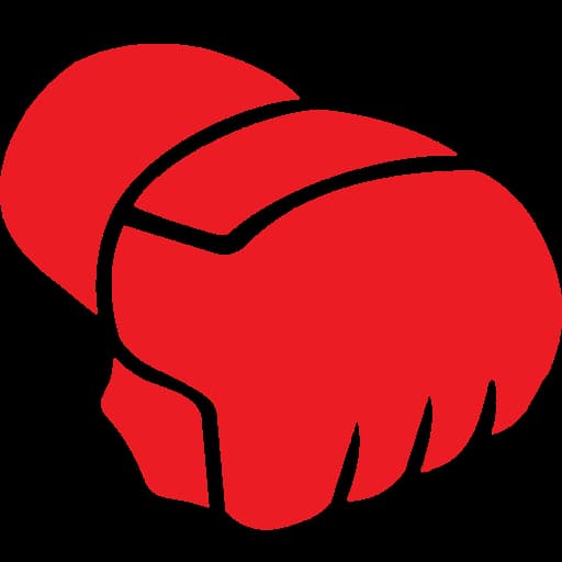 An image of an MMA glove