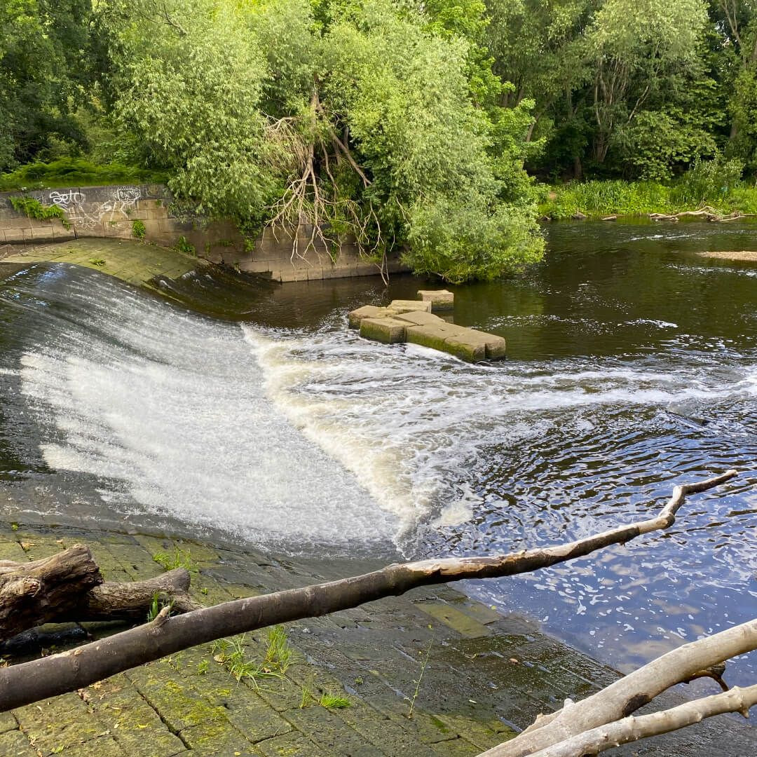 Kirkstall Valley Nature Reserve - Discover Leeds