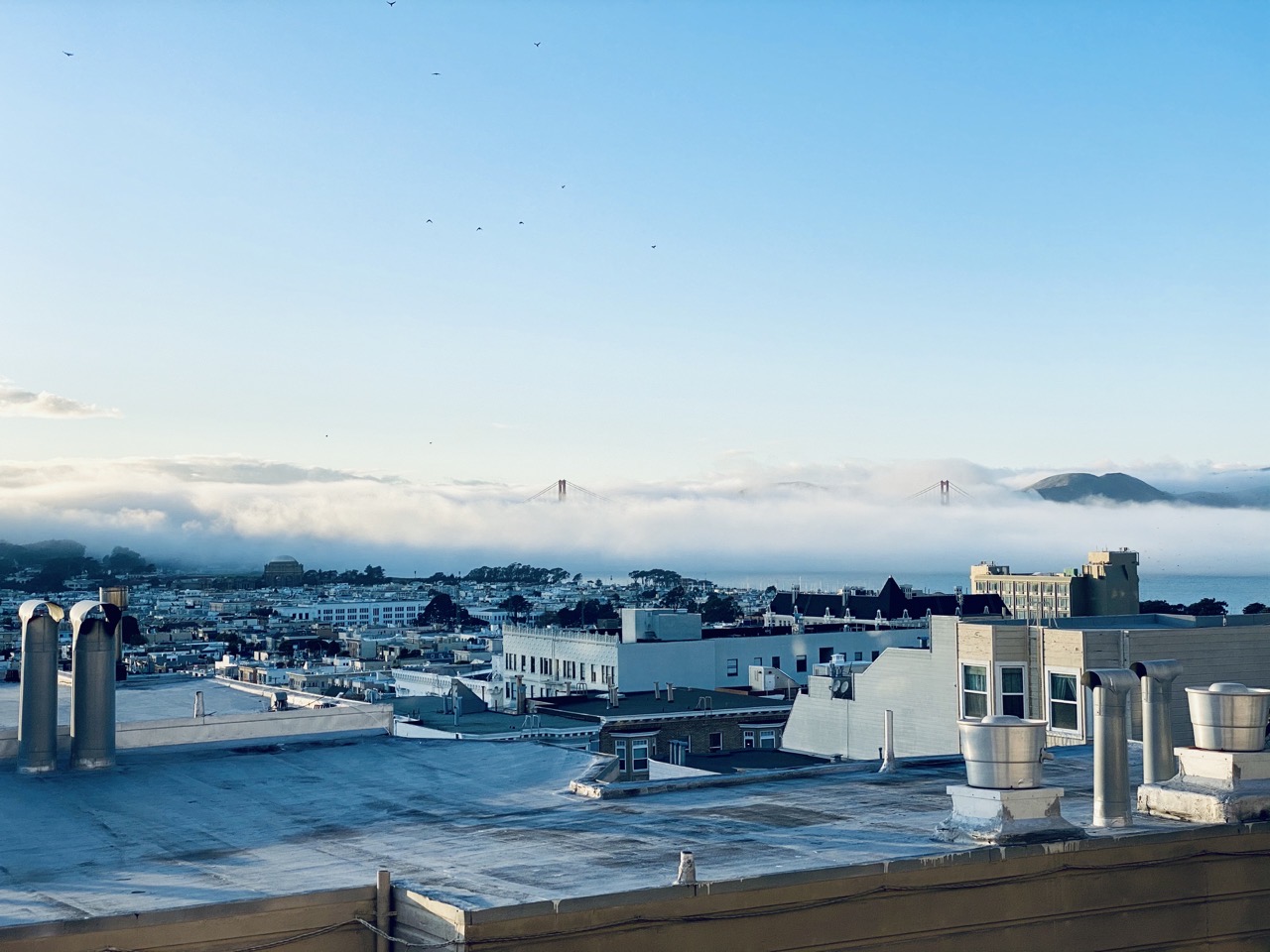 A foggy Golden Gate Bridge from my SF apartment