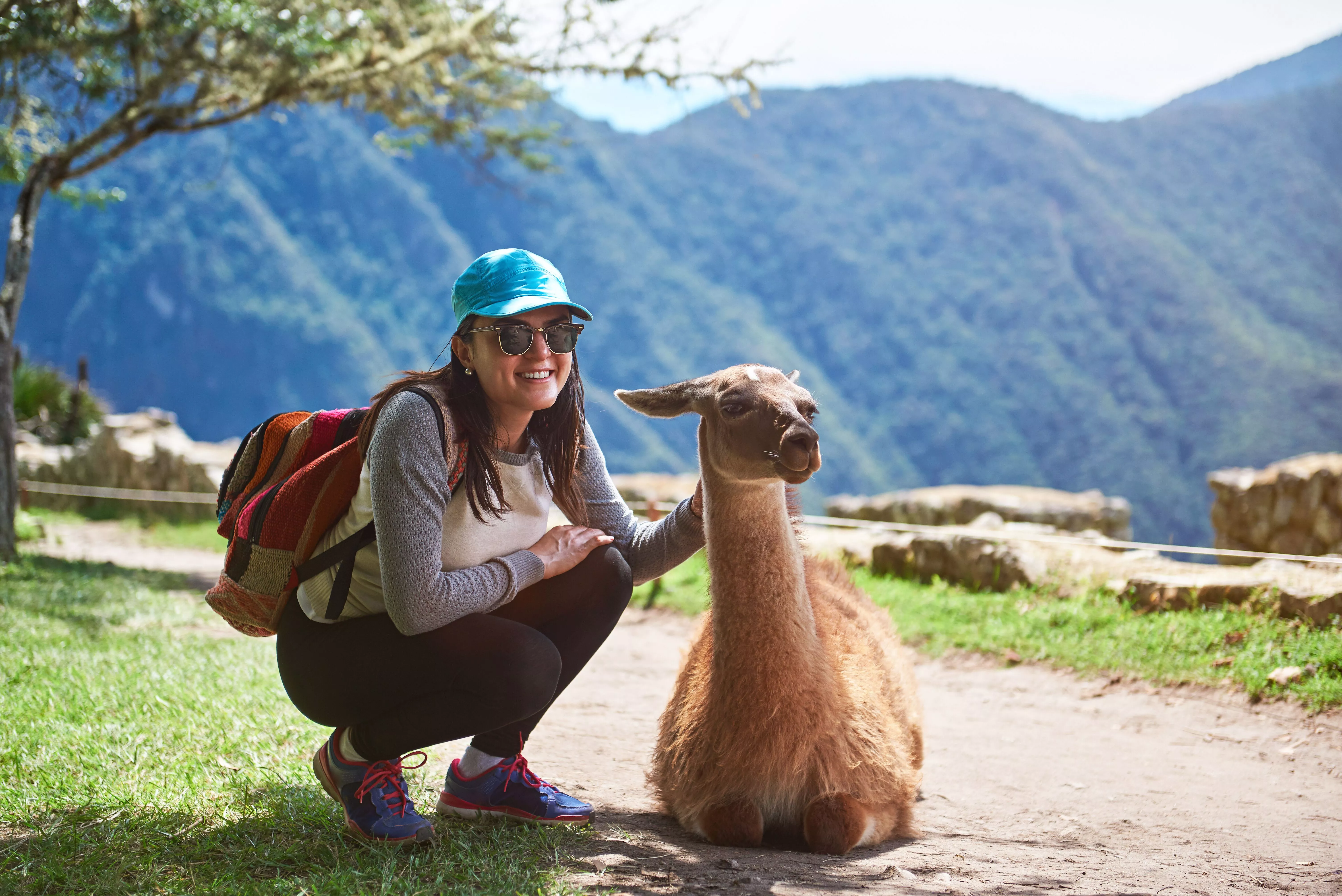 A stock photo of a classic llama with a young woman on a trail