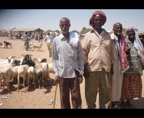 Somalia Animal Market 3