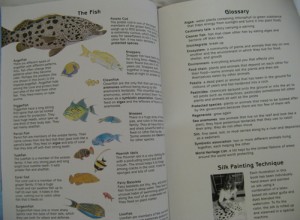 Aquarium Glossary and Internet Glossary