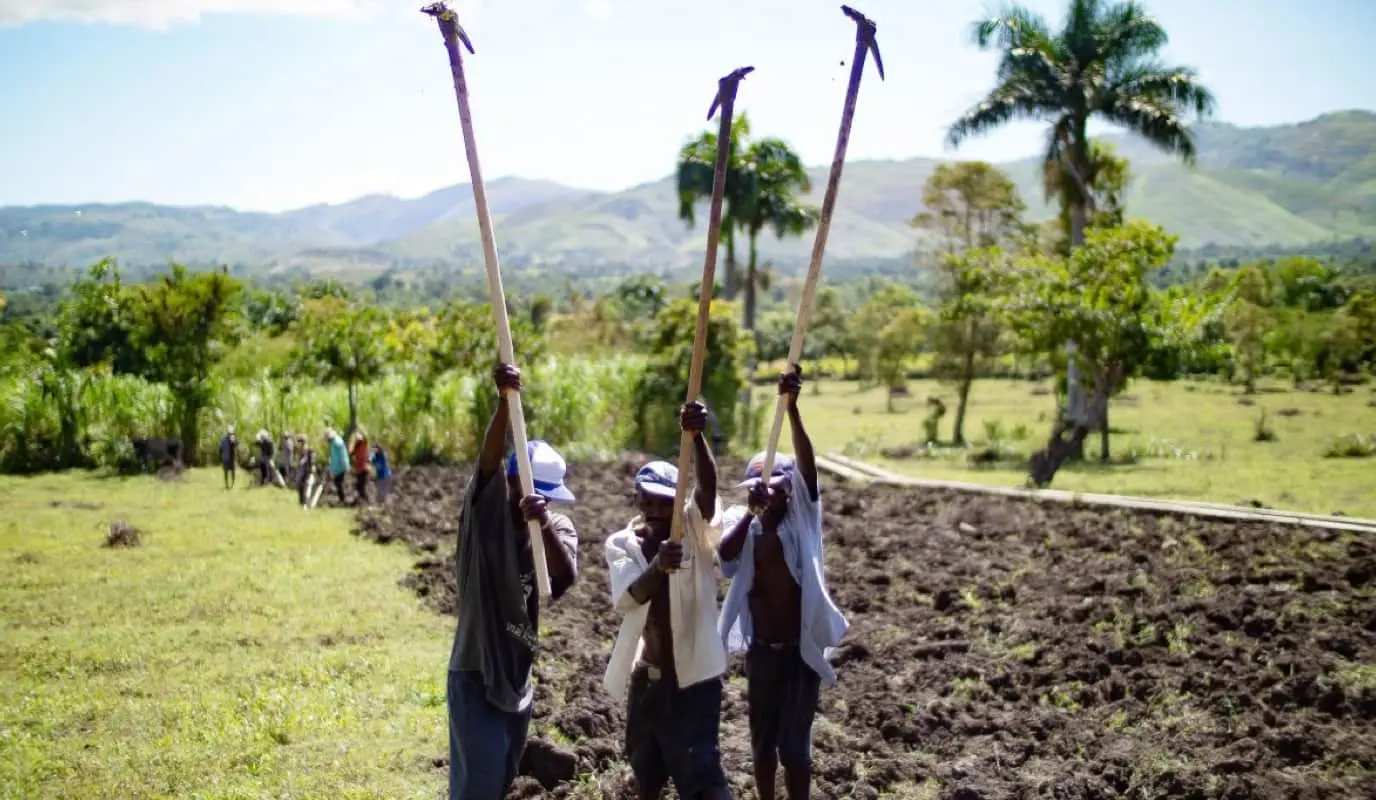 Haitian farmers