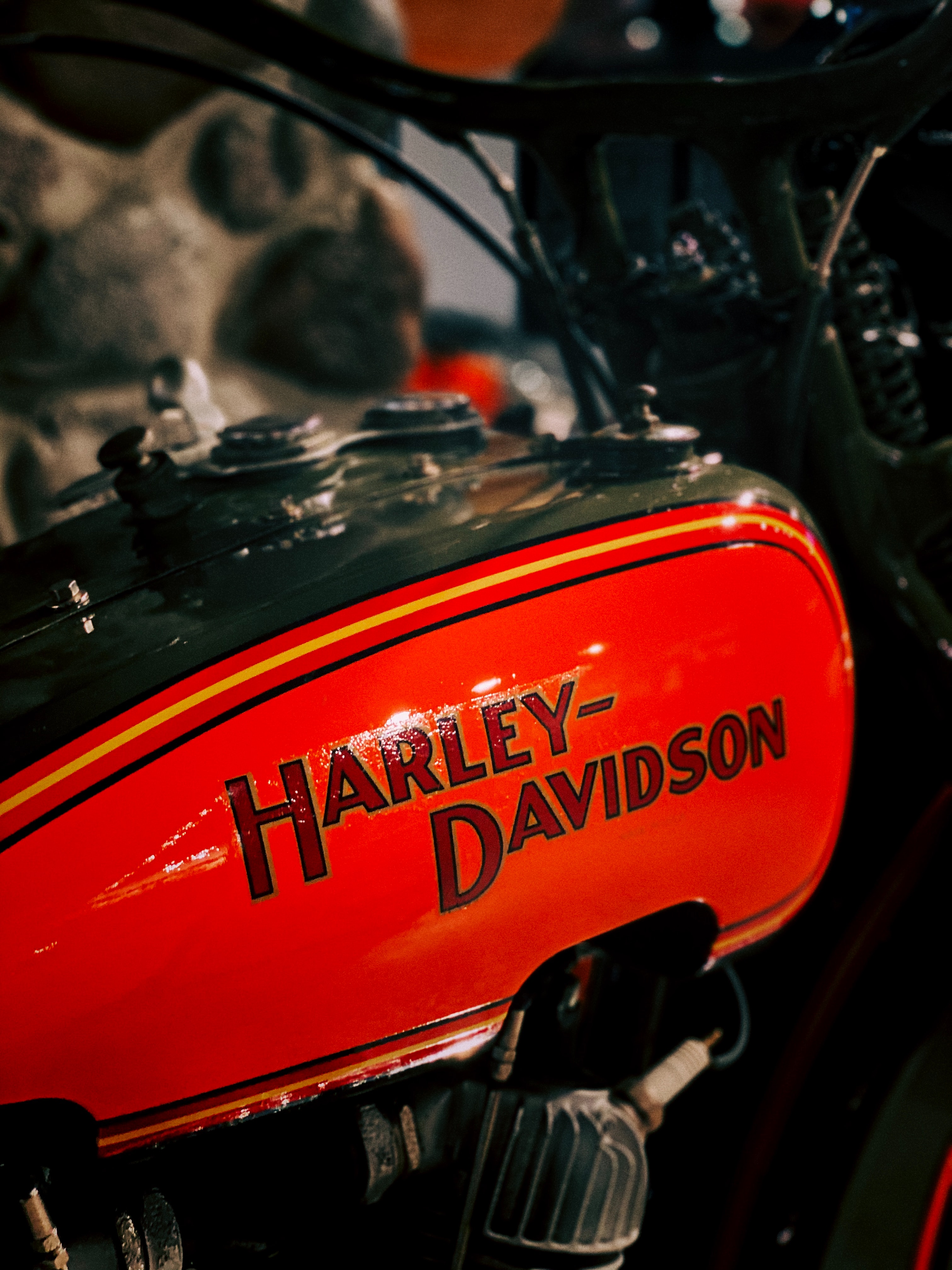 Harley Davidson logo on a bike
