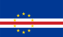 flag_cv