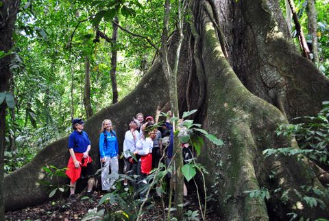 Arenal Volcano Guided Walk - Arenal Costa Rica Tours