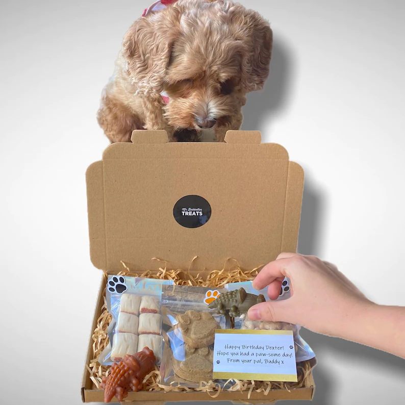 Letterbox Dog Treat Box