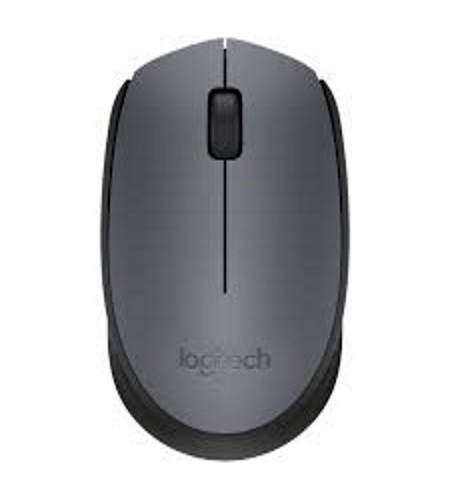 <h4>Logitech Wireless Mouse M171</h4>
