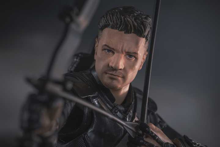 SHF Hawkeye & Ronin