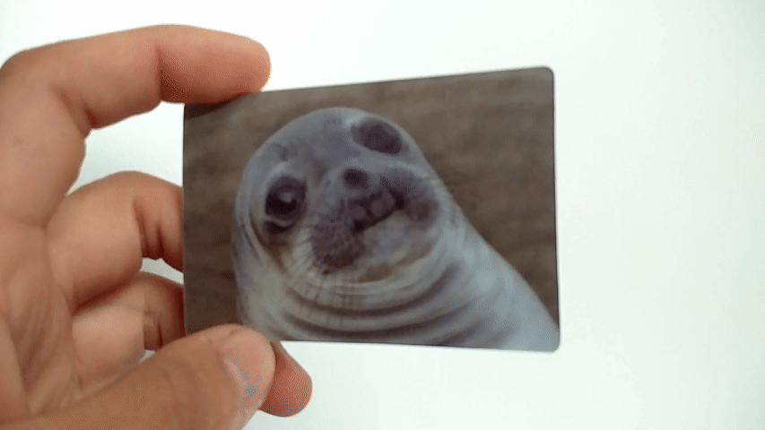 Sticker of Awkward Moment Seal