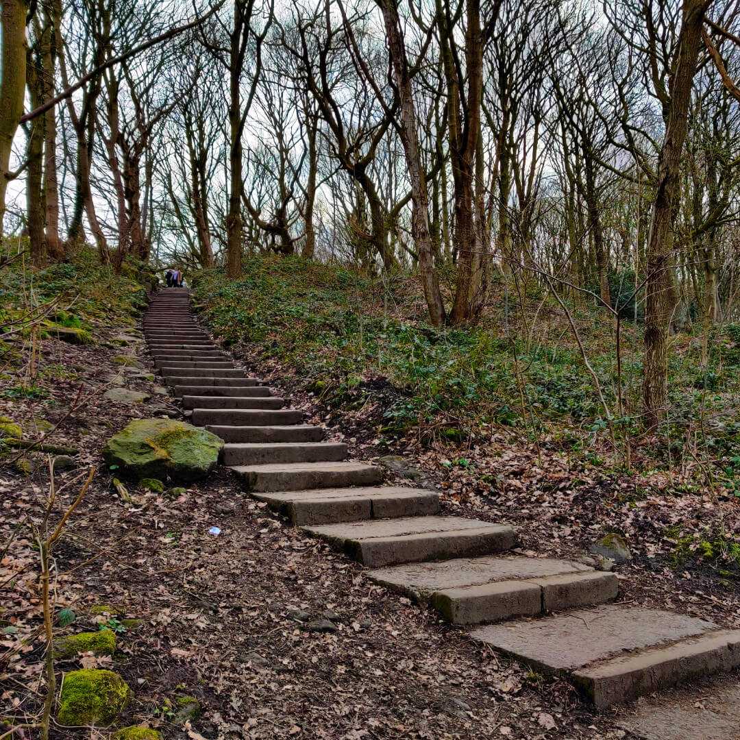 Steps up to Bramley Fall Woods