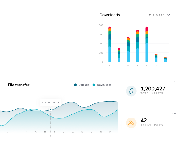 Canto analytics dashboard showing downloads, total assets, file transfer and users