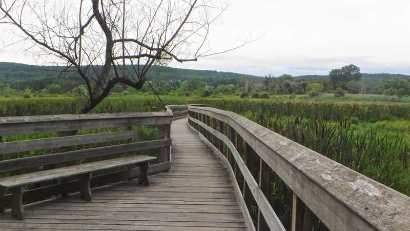 Swamp River boardwalk