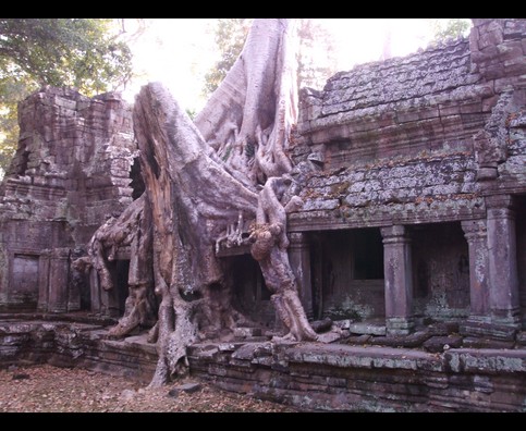 Cambodia Jungle Ruins 23