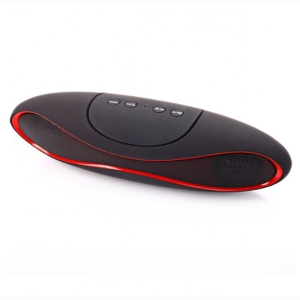 <h4>Bluetooth Speaker</h4>