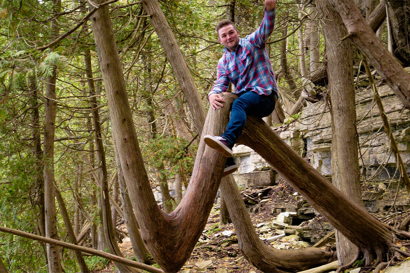Mike riding a tree in Door County