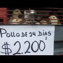 Colombia Popayan Market 27