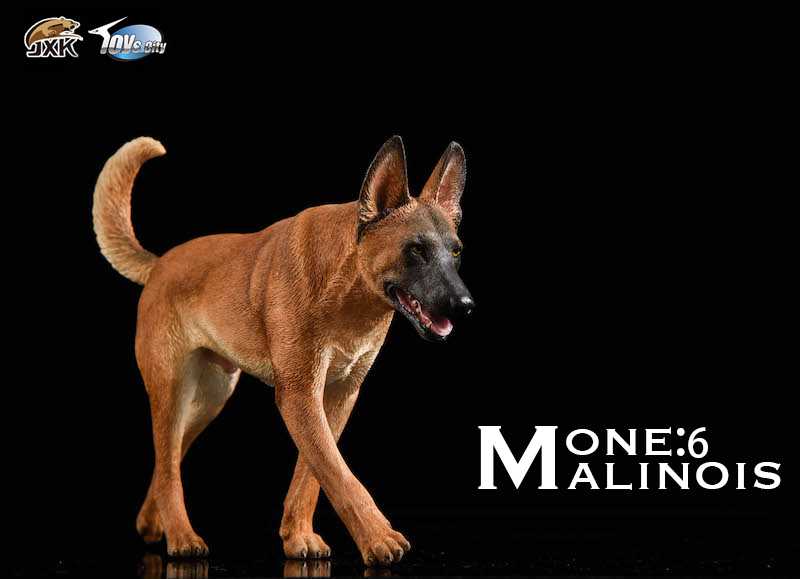 Belgian Malinois With John Wick