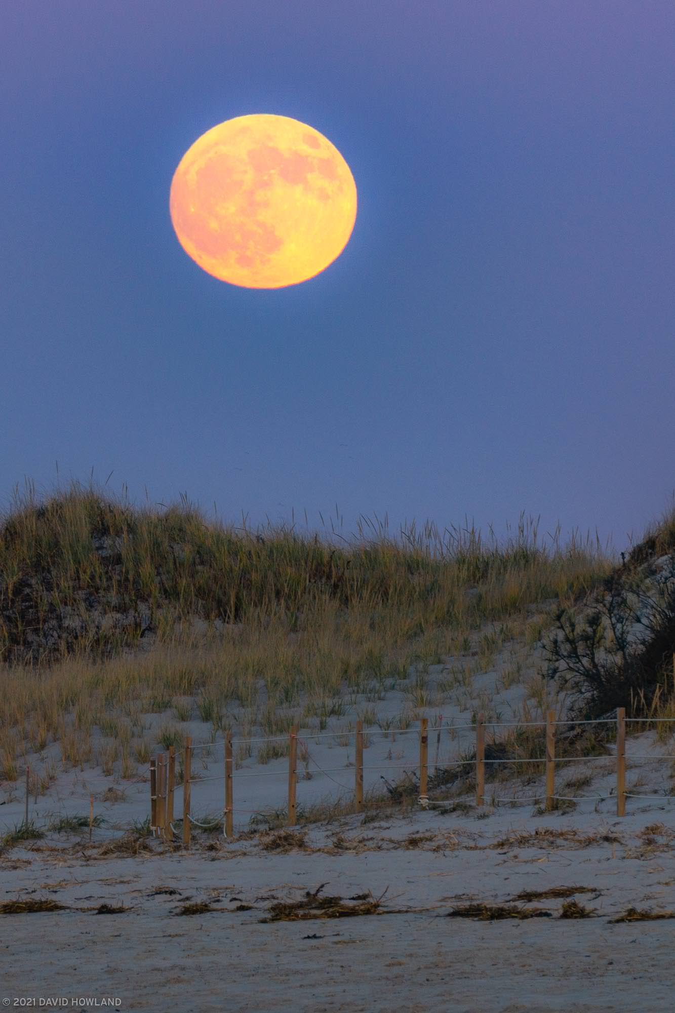 Chapin Beach Moonrise
