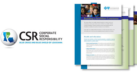 CSR Identity