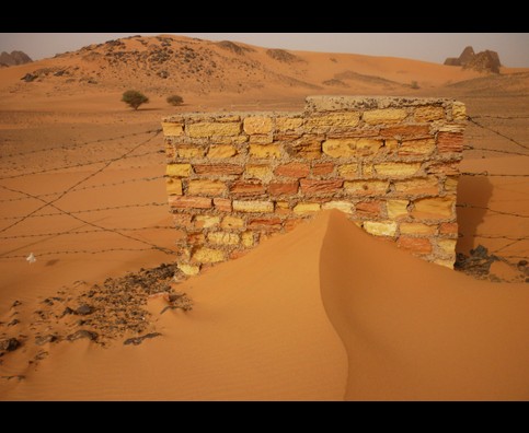 Sudan Desert Walk 23