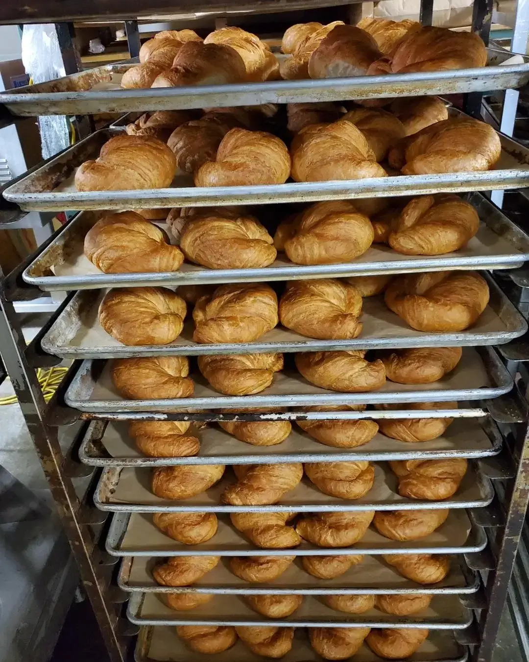 Fresh Croissants