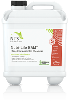 nutri-life bam