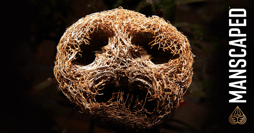 Are Loofahs Bad? 3 Reasons To Switch to a Body Scrubber MANSCAPED™ Blog