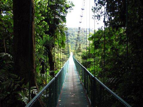 Selvatura Zip Line Canopy Tour & Cloud Forest Suspension Bridges