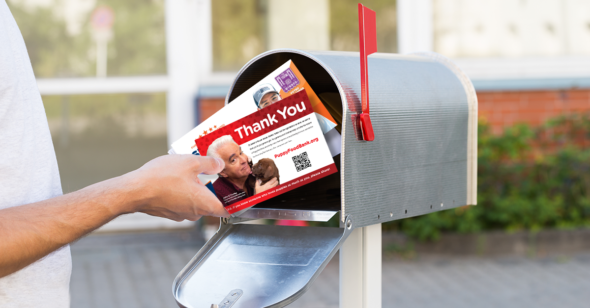 Direct Mail Advertising vs. Digital Marketing
